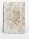 Marbled Texture Style for Architecture or Decorative Background.