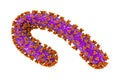 Marburg virus, 3D illustration. RNA viruses that cause Marburg haemorrhagic fever