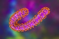 Marburg virus, 3D illustration. RNA viruses that cause Marburg haemorrhagic fever Royalty Free Stock Photo