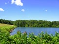 Marbury Creek Watershed in Fort Yargo State Park Royalty Free Stock Photo