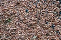 Marc of grapes or pomace on a pile as byproduct and garbage in winery. Royalty Free Stock Photo