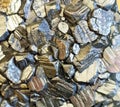 marcasite mineral texture Royalty Free Stock Photo