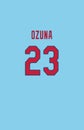 Marcel Ozuna, St. Louis Cardinals Jersey Back