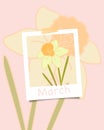 Minimalist flat floral illustration of yellow daffodil flower. March concept theme.