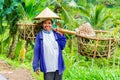March 3, 2015 Baly. Balinese farmer dries the rice spread out on Royalty Free Stock Photo