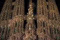 March 2017, Barcelona, Spain - Details of the Sagrada Familia Cathedral in the night. White pigeons on tree.