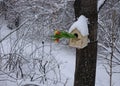 March began with heavy snowfalls in the Russian Far East