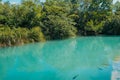 Partial view of the Formoso River, in the municipal resort, in Bonito, in Mato Grosso do Sul