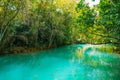 Rio Formoso, in the city of Bonito, in Mato Grosso do Sul. Bonito is one of the main ecotourism