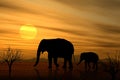 March of The Elephants At Sunset
