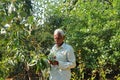 A farmer investigating the growth of mango flowers