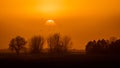 MARCH 8, 2017 - Grand Island, Nebraska -PLATTE RIVER, UNITED STATES Migratory water fowl and Sandhill Cranes are on their spring m Royalty Free Stock Photo