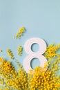 8 march greeting card with fresh branch of mimosa spring flowers and number eight top view. International Women Day Royalty Free Stock Photo