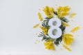 8 march greeting card with fresh branch of mimosa spring flowers and number eight top view. International Women Day Royalty Free Stock Photo