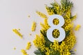 8 march greeting card with fresh branch of mimosa spring flowers and number eight top view. International Women Day Royalty Free Stock Photo