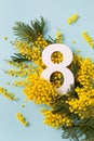 8 march greeting card with fresh branch of mimosa spring flowers and number eight top view. International Women Day