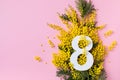 8 march greeting card with fresh branch of mimosa spring flowers and number eight top view. International Women Day Royalty Free Stock Photo