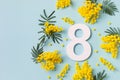 8 march greeting card with fresh branch of mimosa spring flowers and number eight top view. International Women Day Royalty Free Stock Photo