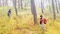 20 March 2020, Imphal city, Autumn season: two trekker enjoying in a pine forests