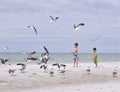 March 2019, Indian Rocks Beach, Florida - three children on the pristine shores of a Tampa area beach are feeding