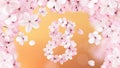 8 march international women's day background with flowers. Cherry blossoms romantic design. Women day background with frame