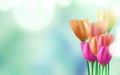 8 march international women's day background with flowers. Vector illustration Royalty Free Stock Photo