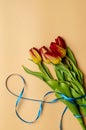8 March, International Women`s Day. Figure eight of blue ribbon with tulips. Space for text Royalty Free Stock Photo