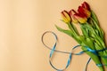 8 March, International Women`s Day. Figure eight of blue ribbon with tulips. Space for text Royalty Free Stock Photo