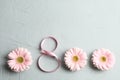 8 March, International Women`s Day. Figure eight of pink ribbon with beautiful gerbera flowers on gray background Royalty Free Stock Photo