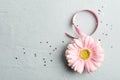 8 March, International Women`s Day. Figure eight of pink ribbon with beautiful gerbera on gray background Royalty Free Stock Photo