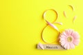 8 March, International Women`s Day. Figure eight of pink ribbon with beautiful gerbera on yellow background Royalty Free Stock Photo