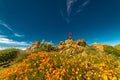 MARCH 15, 2019 - LAKE ELSINORE, CA, USA - Photographer Joe Sohm stands upon rock during Super Bloom California Poppies in Walker