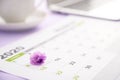 March 8, 2020 is marked with a violet flower on a calendar that lies on a table with a cup of coffee and a laptop