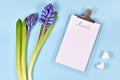 March month concept with clipboard with blank sheet with word `March` written on top, purple hyacinth spring flower and marshmallo