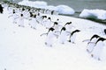 March of the Penguins