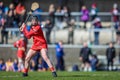 2024 National Camogie League: Cork vs Clare