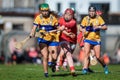 2024 National Camogie League: Cork vs Clare