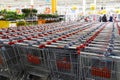 Hypermarket Auchan. Rows of supermarket trolleys for groceries