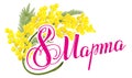 March 8 Russian lettering text. March 8 International Womens Day. Yellow mimosa flower. Mimosa flower symbol of Womens Day