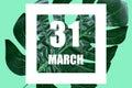 march 31st. Day 31of month,Date text in white frame against tropical monstera leaf on green background spring month, day