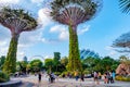 2019 March 1st, Singapore, Garden by the bay - View of the supertrees and people are doing their activities