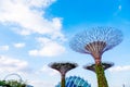 2019 March 1st, Singapore, Garden by the bay - View of the supertrees and people are doing their activities