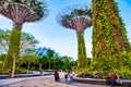 2019 March 1st, Singapore, Garden by the bay - View of the supertrees and people are doing their activities