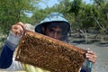 Honey Making