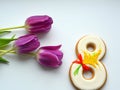 8 march sweet and purple tulips flowers white isolated Royalty Free Stock Photo