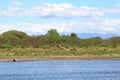 March 6 2023 - Tarcoles, Costa Rica: People enjoy a wildlife Excursion by boat on Rio Tarcoles