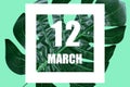 march 12th. Day 12 of month,Date text in white frame against tropical monstera leaf on green background spring month