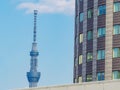 201 March 11. Tokyo Japan. Tokyo sky tree building with modern skyscraper architecture on sunny day