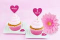 8 March Women's Day pink greeting card with cupcake, heart and gerbera