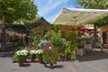 Marche aux Fleurs in Nice, France Royalty Free Stock Photo